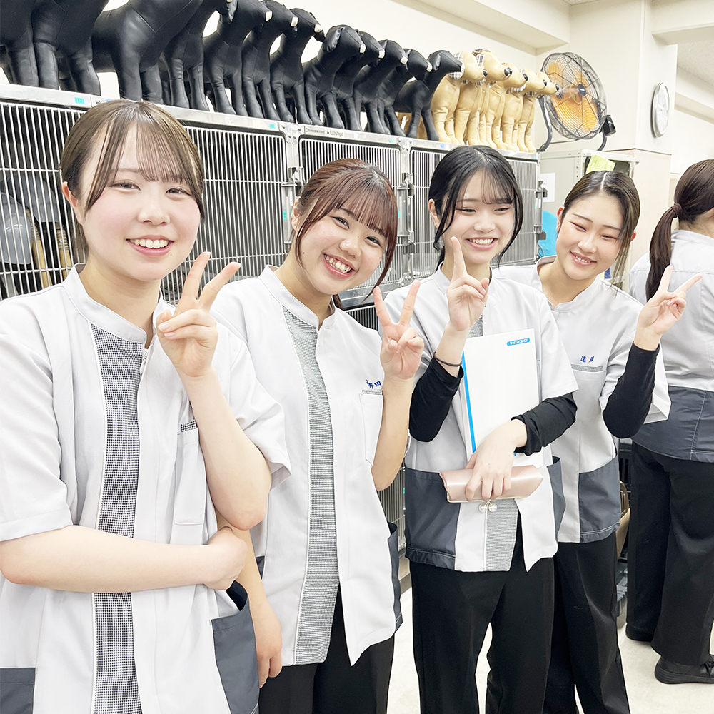 先輩のトリミングを見学☆